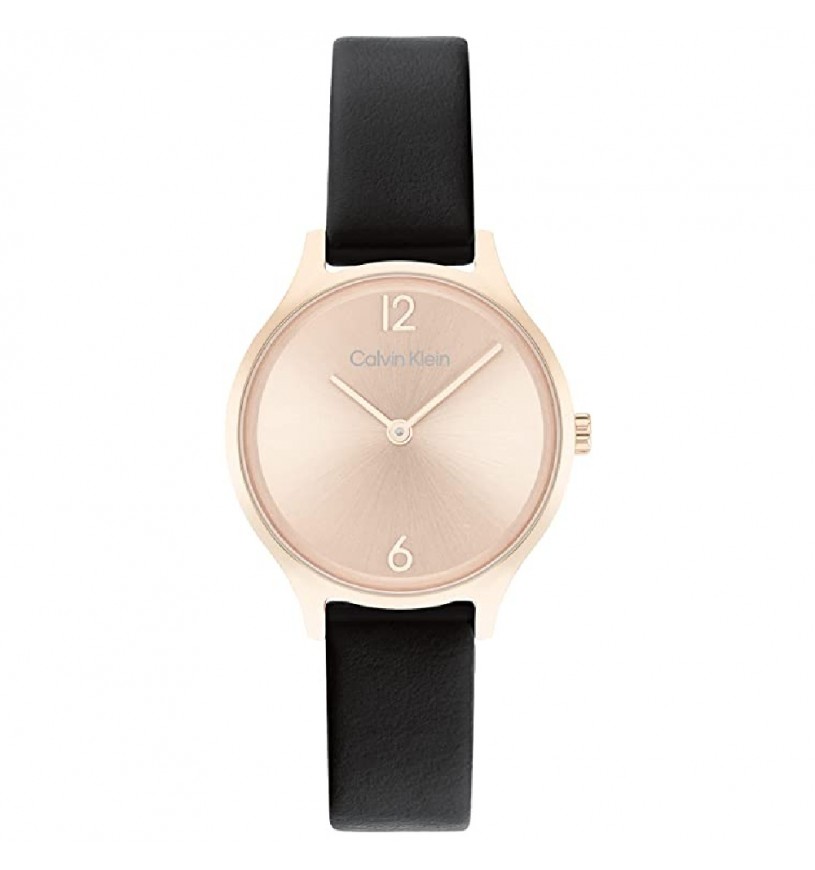 Orologio donna Calvin Klein Timeless H2 25200060